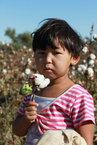 cottoncampaign.jpg